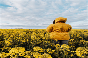 四川文化产业职业学院五年制大专地址在哪里