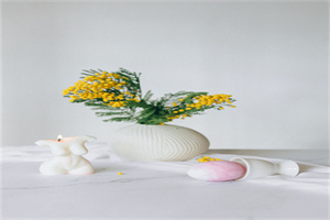 广安职业技术学院五年制大专地址在哪里