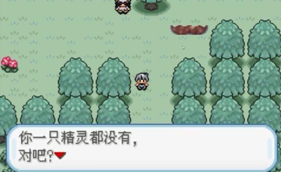 口袋妖怪火箭队汉化版v沫白 最新版