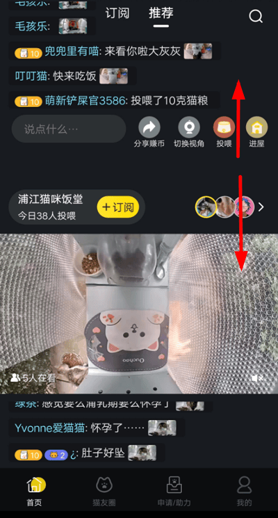 哈啰街猫app v3.5.5安卓版
