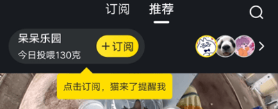 哈啰街猫app v3.5.5安卓版