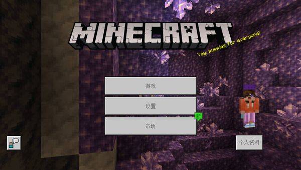 我的世界国际服基岩版2026最新版 v1.21.131.1安卓版