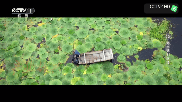 昭昭TV电视软件