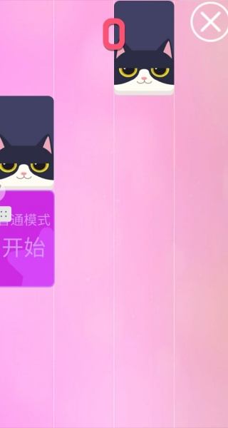 猫咪与球游戏v1.0.0 安卓版 猫咪与球游戏v1.0.0 安卓版