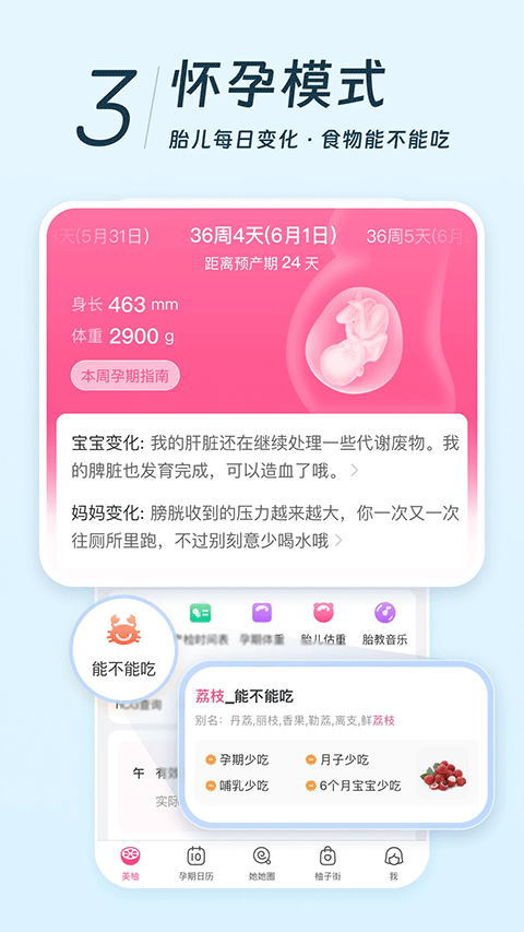 美柚月经app v9.03.0.0安卓版