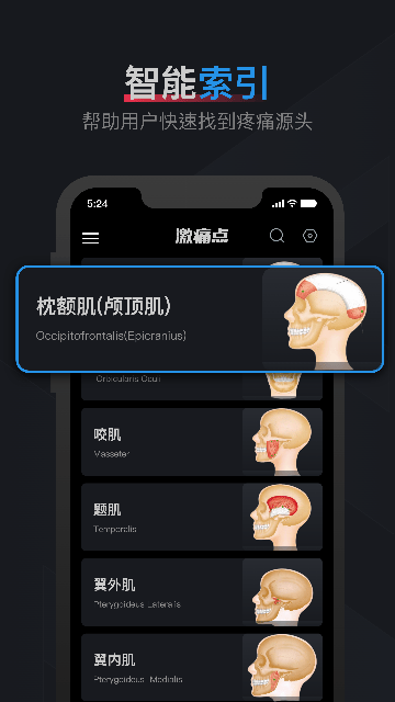 肌肉激痛点图谱软件下载v1.2 安卓版 肌肉激痛点图谱软件下载v1.2 安卓版