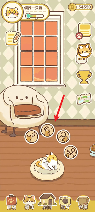 领养一只流浪猫游戏(领养一只流浪猫（TapTap测试版）) v1.0.0 安卓版