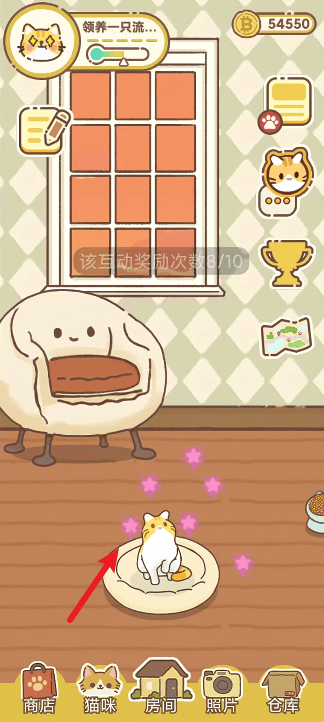领养一只流浪猫游戏(领养一只流浪猫（TapTap测试版）) v1.0.0 安卓版