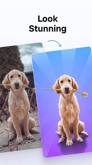 photoroom安卓版 v2026.08.05