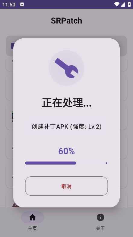 SRPatch去签工具v2.0.0 最新版