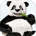 TinyPNG官方下载v1.16 安卓版