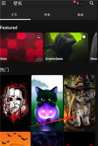 Zedge壁纸官方版 v9.6.1安卓版